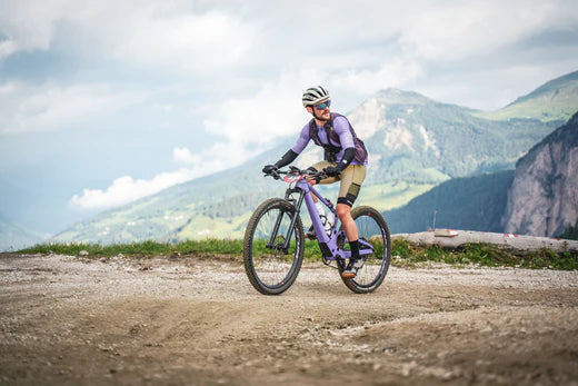 Mountain bike liner outlet