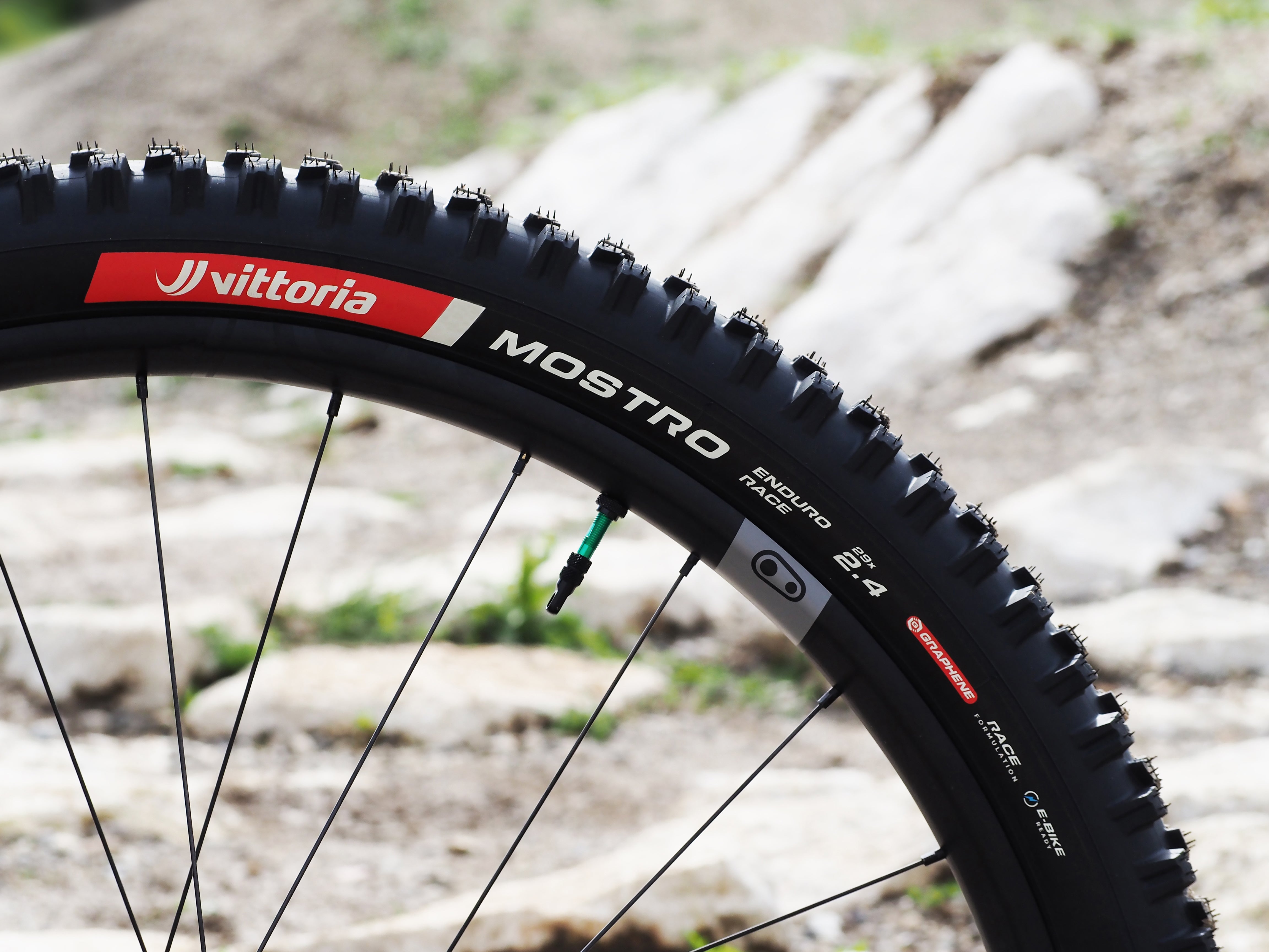 Unleashing Vittoria Mostro: The Ultimate Tire for Gravity Mountain Bikers