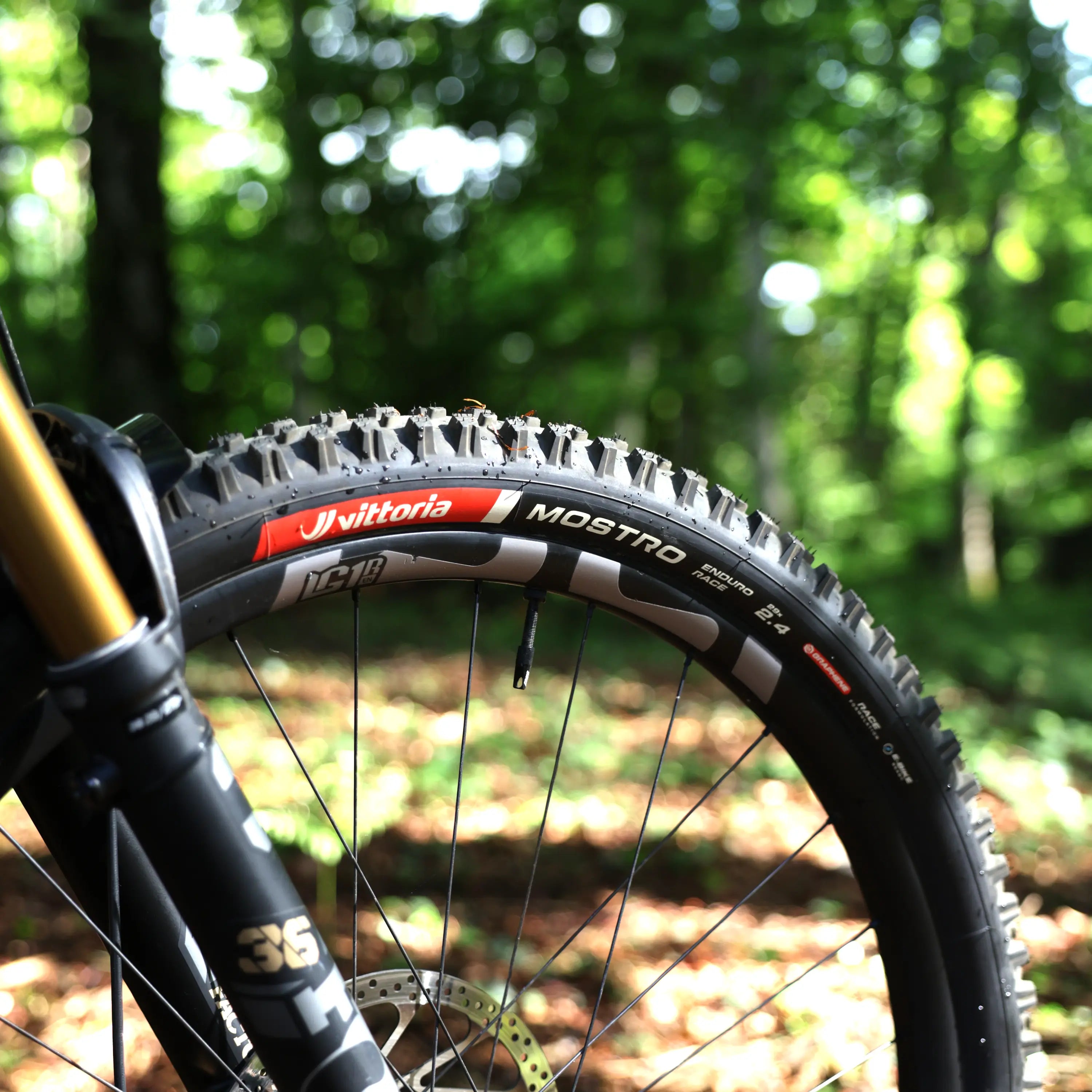 Mostro Enduro