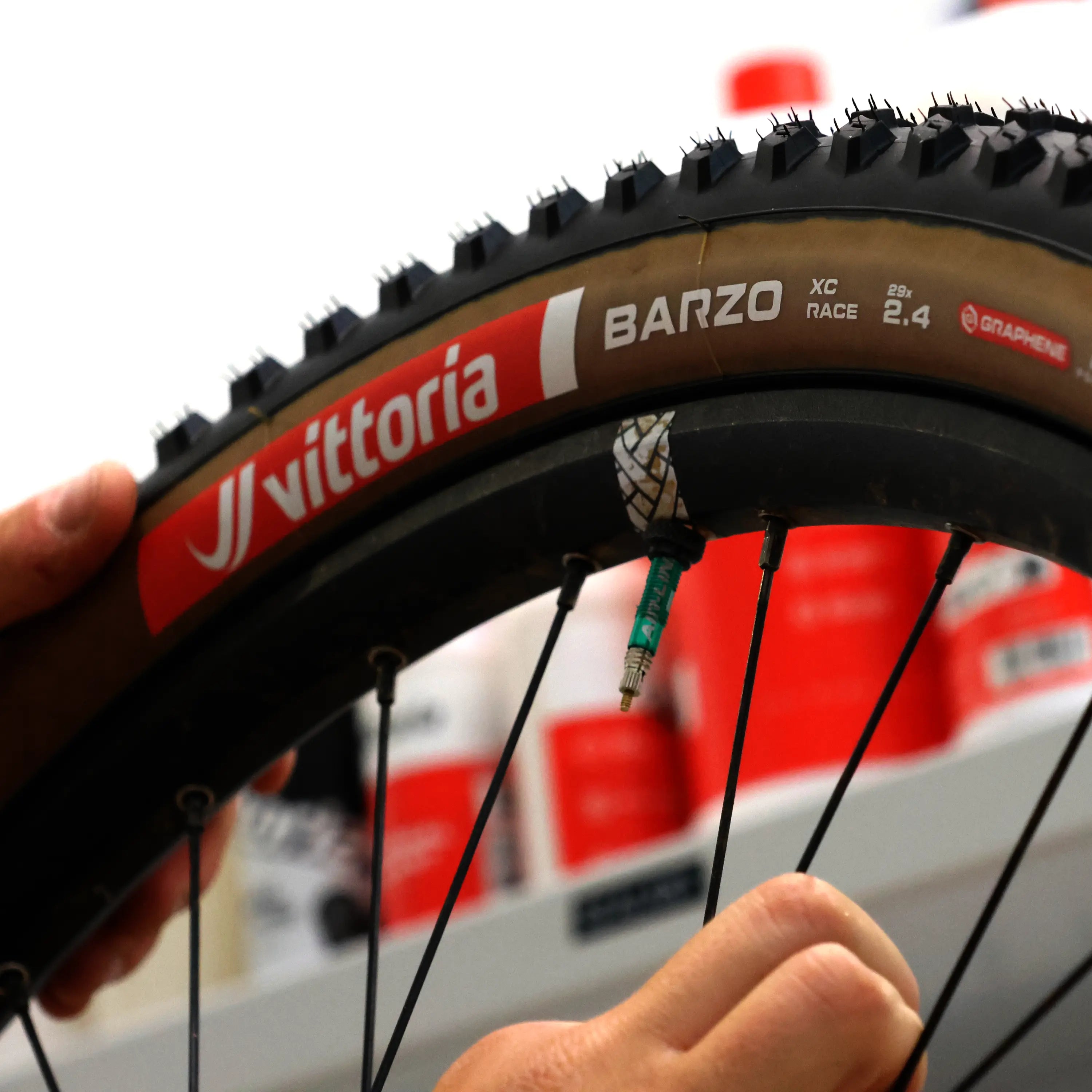 Vittoria Barzo XC-Race 29 x 2.1 2本セット Barzo XC Race