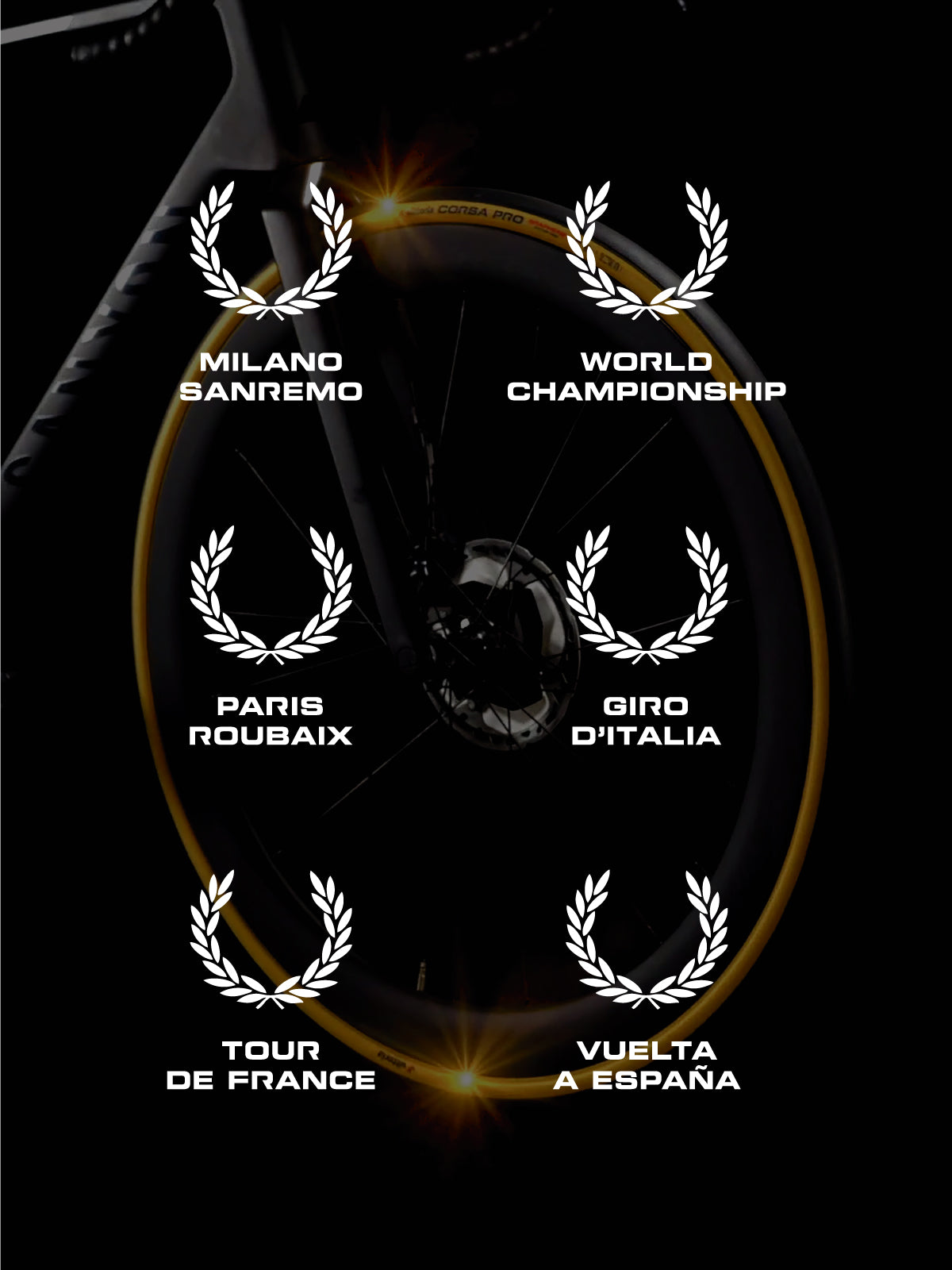 Corsa PRO Gold Limited Edition | Vittoria