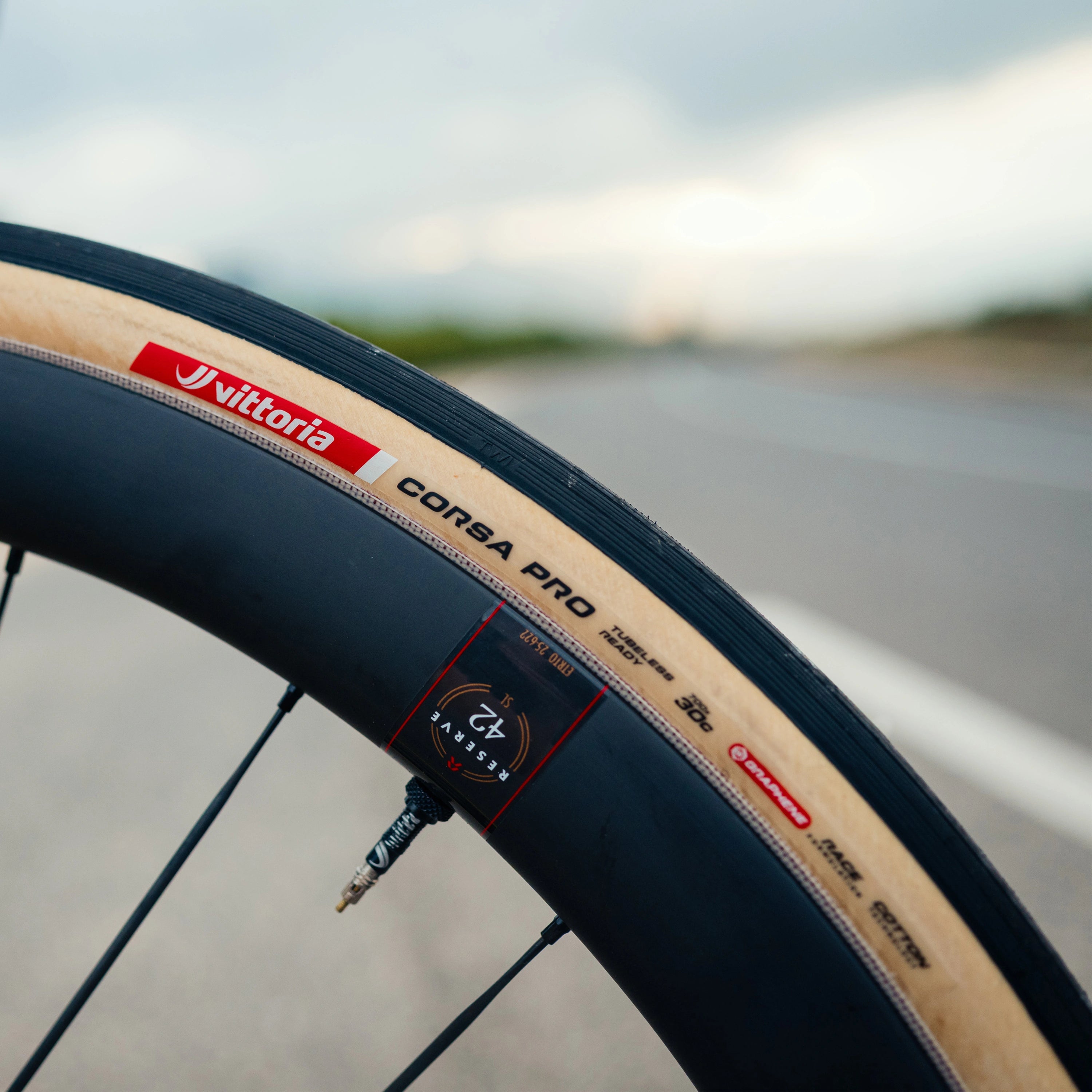 Vittoria Corsa Pro Tubeless-Ready mounted on road bike wheel